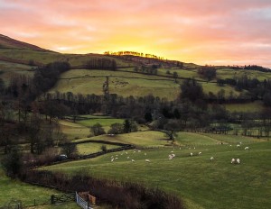 Best Lake District walks